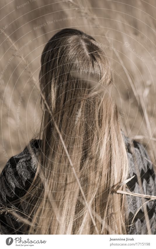 Blondes Feld Haare & Frisuren harmonisch Wohlgefühl Erntedankfest feminin Junge Frau Jugendliche Natur Sonne Schönes Wetter blond rothaarig langhaarig