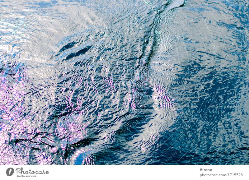 well ness I Umwelt Natur Wasser Sommer Schönes Wetter Bewegung Flüssigkeit frei frisch Unendlichkeit kalt maritim nachhaltig nass natürlich blau rosa weiß