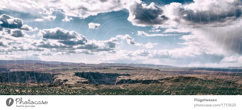 Beautiful Amerika (m) Himmel Wolken Tag Schatten Berge u. Gebirge Grand Canyon USA Landschaft Pflanze Tier Aussicht Ferne Menschenleer Sträucher Vulkankrater