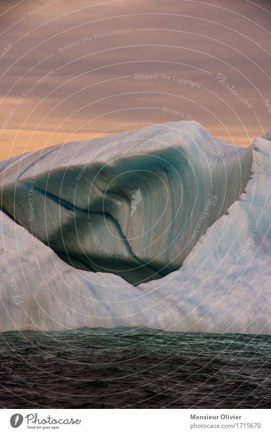 Eisberg Umwelt Natur Landschaft Urelemente Frost kalt blau rosa weiß Kanada Neufundland Reisefotografie Farbfoto Außenaufnahme Detailaufnahme Menschenleer