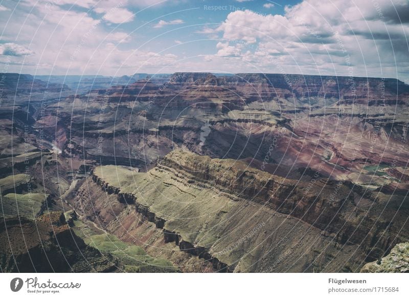 Beautiful Amerika (p) Himmel Wolken Tag Schatten Berge u. Gebirge Grand Canyon USA Landschaft Pflanze Tier Aussicht Ferne Menschenleer Sträucher Vulkankrater