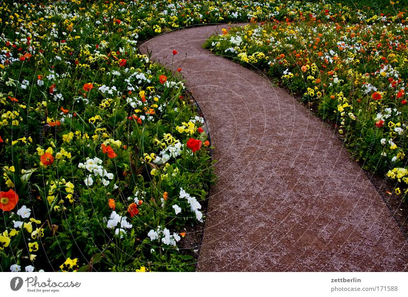 Blumen Garten Gartenbau grün Pflanze Beet Blumenbeet Blühend Blüte Wege & Pfade Serpentinen biegen Kurve abbiegen Umweg Schrebergarten Park grünflächenamt