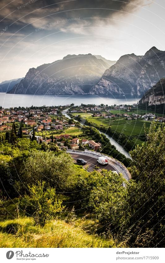 Panoramstrasse am Gardasee Ferien & Urlaub & Reisen Tourismus Ausflug Abenteuer Ferne Freiheit Sightseeing Sommerurlaub Umwelt Natur Landschaft Pflanze Tier