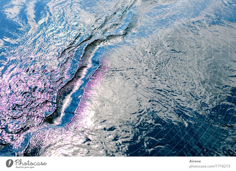 well ness IV Natur Urelemente Wasser Sommer Schönes Wetter Wellen Schwimmen & Baden Flüssigkeit frisch Unendlichkeit maritim nass blau rosa weiß Bewegung Graben