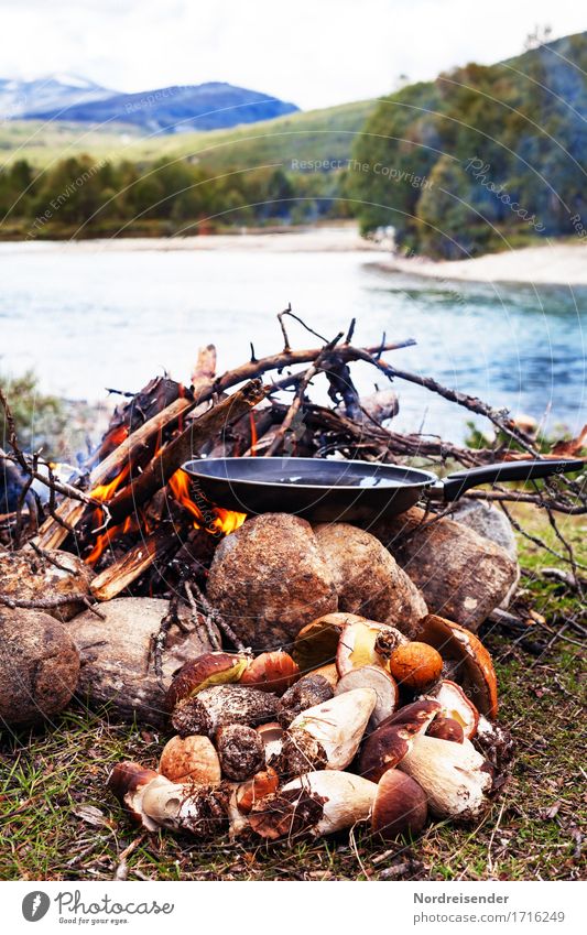 Outdoorküche Lebensmittel Ernährung Mittagessen Abendessen Picknick Bioprodukte Vegetarische Ernährung Pfanne Ferien & Urlaub & Reisen Abenteuer Freiheit Natur