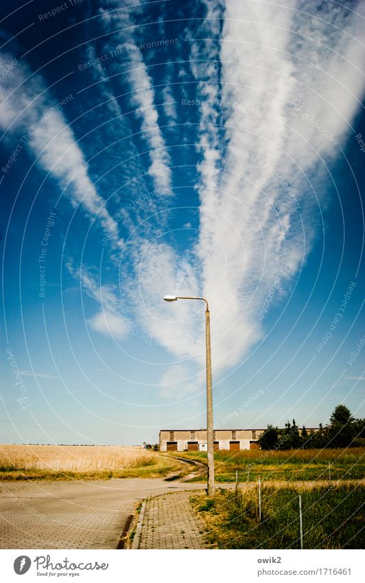 Vor der Stadt Umwelt Natur Landschaft Himmel Wolken Horizont Klima Schönes Wetter Baum Sträucher Feld Dorf Stadtrand Ruine Gebäude Straße Wege & Pfade groß