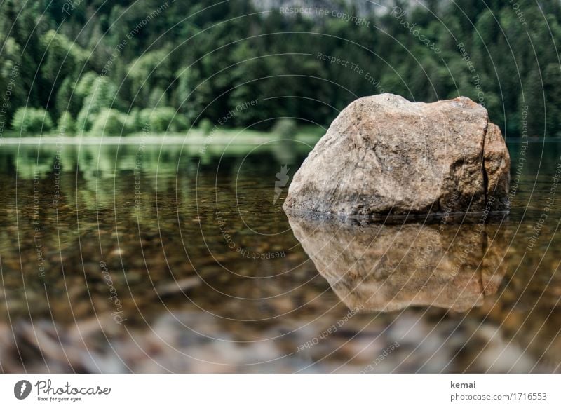 Spiegelbild Wellness harmonisch Sinnesorgane Erholung ruhig Abenteuer Freiheit Umwelt Natur Pflanze Wasser Sommer Schönes Wetter Wald Felsen See Stein Wärme