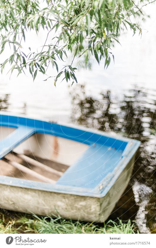 Boot Wellness harmonisch Erholung ruhig Freizeit & Hobby Ausflug Umwelt Natur Sommer Pflanze Baum Grünpflanze Zweig Blätterdach Blatt Seeufer Bootsfahrt