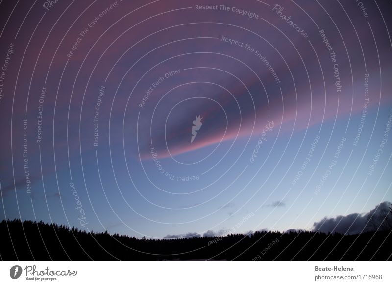 Wetterwechsel Natur Landschaft Urelemente Himmel Wolken Gewitterwolken Sommer Wald gruselig blau rot schwarz Gefühle Beginn Endzeitstimmung Schwarzwald