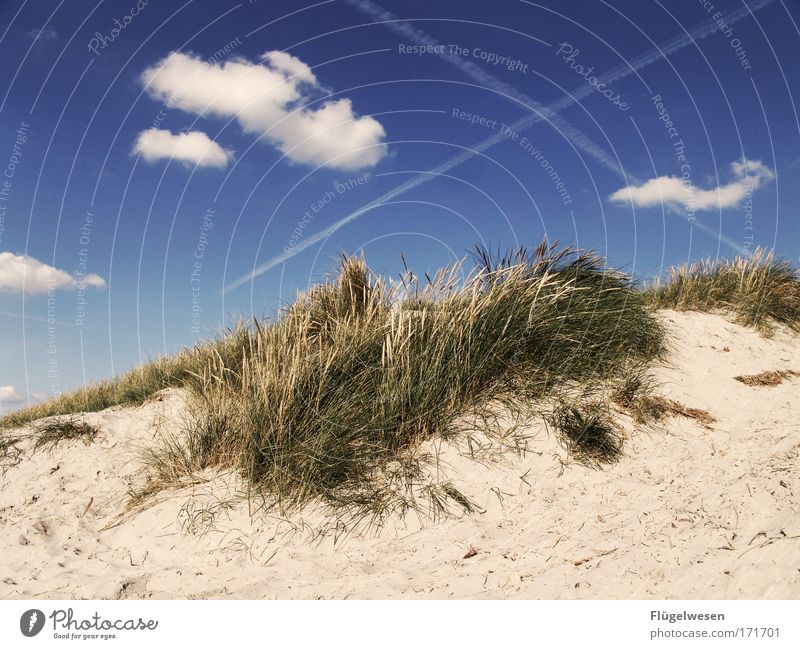 Hach, was war das für ein geiler Strandtag... Farbfoto Außenaufnahme Menschenleer Tag Ferien & Urlaub & Reisen Sommerurlaub Meer Umwelt Himmel Wolken Klima