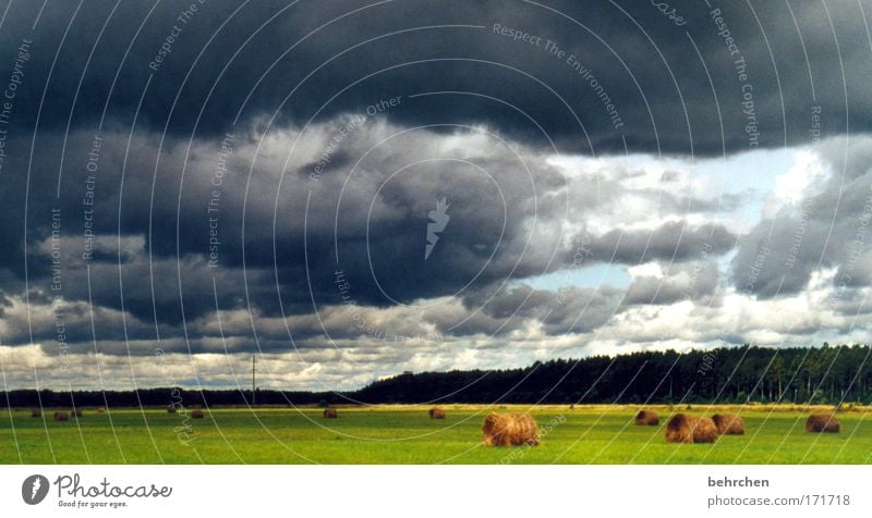 regenschirmwetter Farbfoto Außenaufnahme Menschenleer Ferien & Urlaub & Reisen Ausflug Ferne Freiheit Himmel Wolken Gewitterwolken Unwetter Wind Sturm Regen