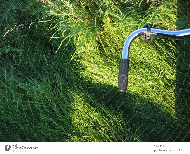 Fotonummer 126633 Freizeit & Hobby Spielen Sportler Technik & Technologie Umwelt Natur Landschaft Pflanze Sommer Gras Grünpflanze Garten Park Wiese Fahrzeug