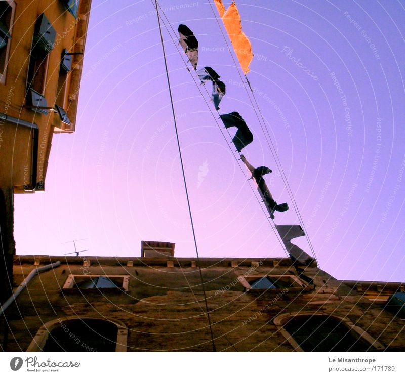 black or white [wäsche] Farbfoto Außenaufnahme Dämmerung Blick nach oben Umwelt Himmel Wolkenloser Himmel Venedig Italien Haus Fenster Dach Schornstein Antenne