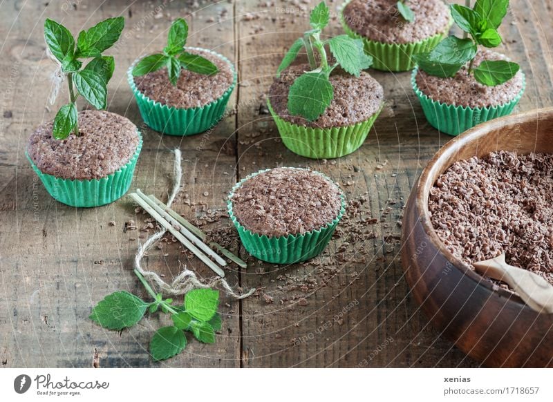 Muffins mit Kuchen und Kräuter wie in der Baumschule Schokoladenkuchen Teigwaren Backwaren Süßwaren Kräuter & Gewürze Minze Zitronenmelisse Melisse