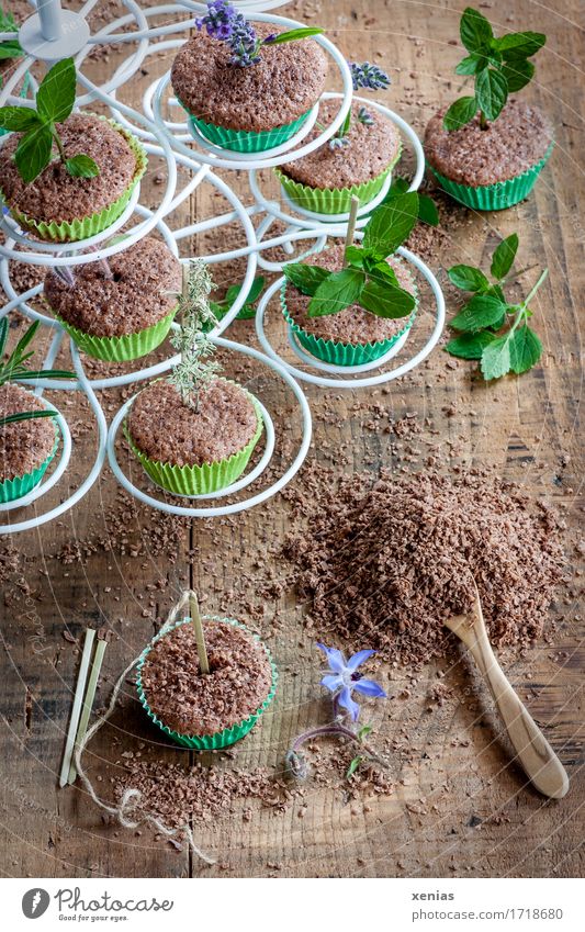 weiße Etagere mit Muffin aus Schokoladenkuchen und deren Zubereitung Kuchen Teigwaren Backwaren Kräuter & Gewürze Schokoladenstreusel Löffel Holzlöffel Kakao