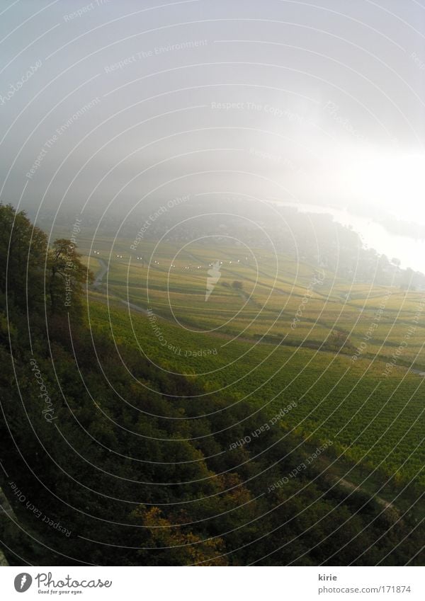 Morgenstimmung Farbfoto Außenaufnahme Menschenleer Textfreiraum oben Morgendämmerung Lichterscheinung Sonnenstrahlen Vogelperspektive Natur Landschaft Himmel