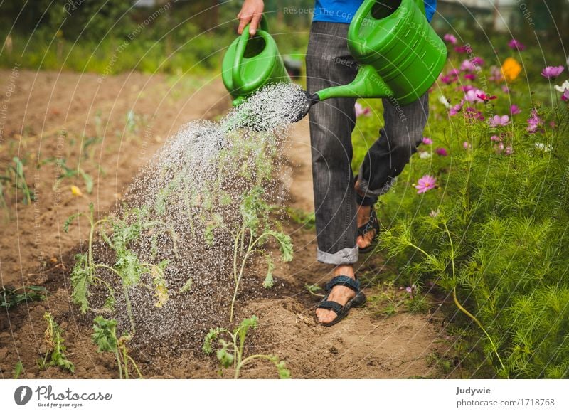 Wachset und gedeihet Gesundheit Gesunde Ernährung Erholung Freizeit & Hobby Gartenarbeit Sommer Arbeit & Erwerbstätigkeit Beruf Bauernhof Landwirt