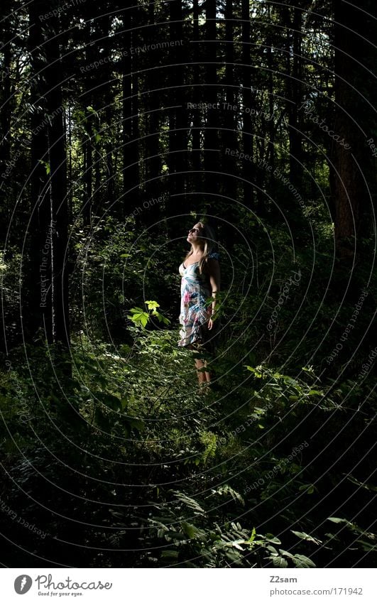 alone in the dark Farbfoto Außenaufnahme Kontrast Mensch feminin Junge Frau Jugendliche 18-30 Jahre Erwachsene Umwelt Wald Kleid blond langhaarig Denken stehen