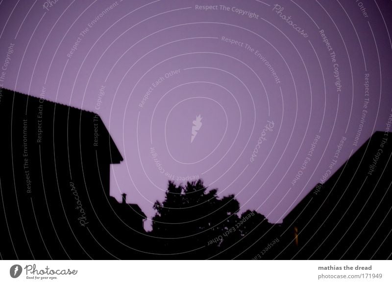 HIMMELSLEUCHTEN Farbfoto Außenaufnahme Menschenleer Hintergrund neutral Abend Dämmerung Nacht Schatten Kontrast Silhouette Lichterscheinung Gegenlicht