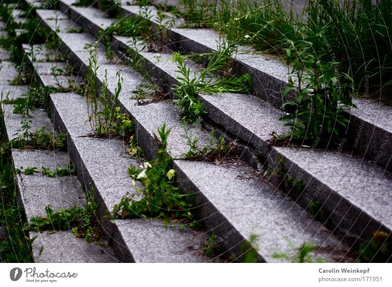 Damals. Farbfoto Außenaufnahme Muster Menschenleer Tag Schatten Kontrast Schulhof Deutschland Europa Stadtrand Ruine Bauwerk Gebäude Architektur Treppe