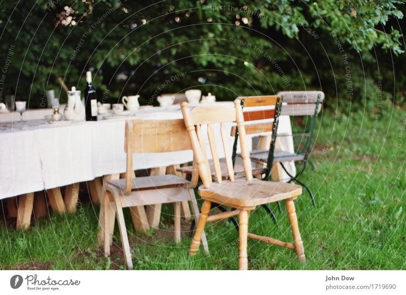 Sommerbankett Lifestyle Stil Häusliches Leben Möbel Stuhl Tisch Feste & Feiern Essen trinken Erntedankfest Landschaft Schönes Wetter Garten Park Wiese