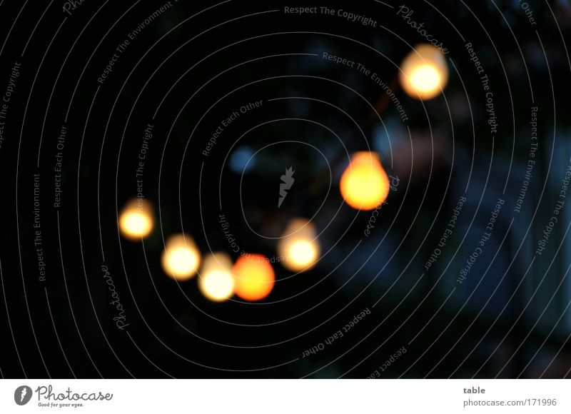 Biergarten Farbfoto Textfreiraum rechts Textfreiraum oben Abend Licht Kontrast Unschärfe Lifestyle Freude Garten Dekoration & Verzierung Feste & Feiern