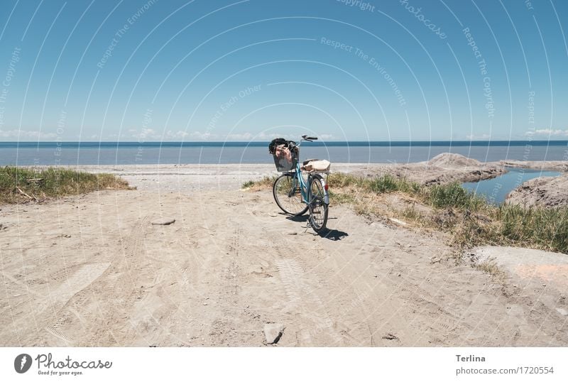 Freiheit Fahrradfahren Bewegung genießen Ferien & Urlaub & Reisen Blick sparen wandern frei Unendlichkeit nass natürlich sportlich blau gelb grün Freude