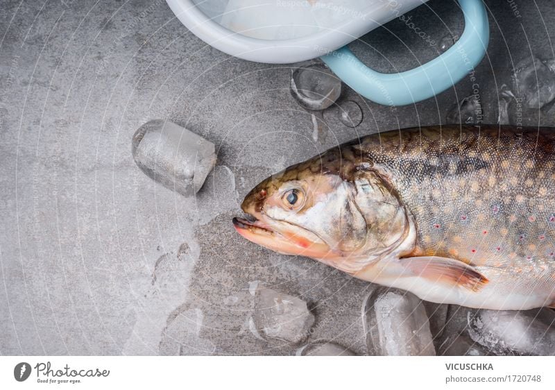 Forelle mit Eiswürfeln Lebensmittel Fisch Ernährung Diät Topf Stil Design Gesunde Ernährung Tisch Küche Coolness Essen zubereiten Küchentisch Foodfotografie