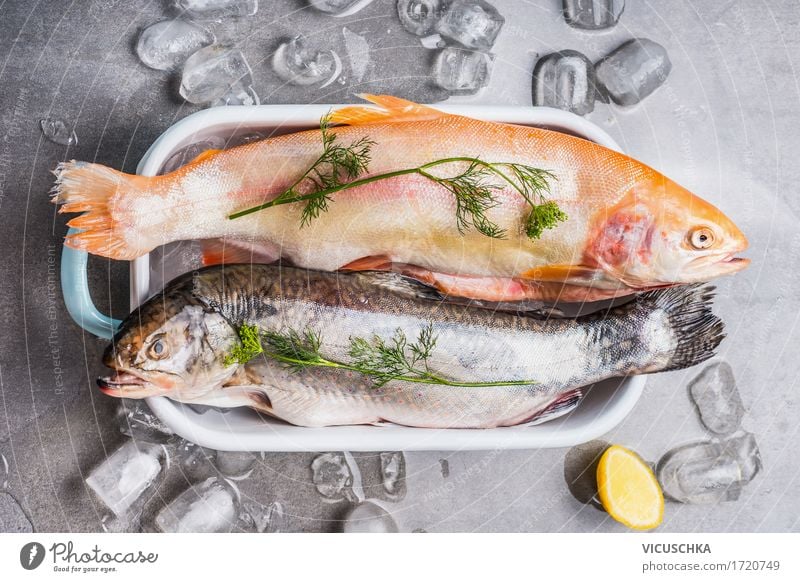 Forellen in Schüssel mit Eiswürfeln und Kochzutaten Lebensmittel Fisch Kräuter & Gewürze Ernährung Mittagessen Abendessen Festessen Bioprodukte