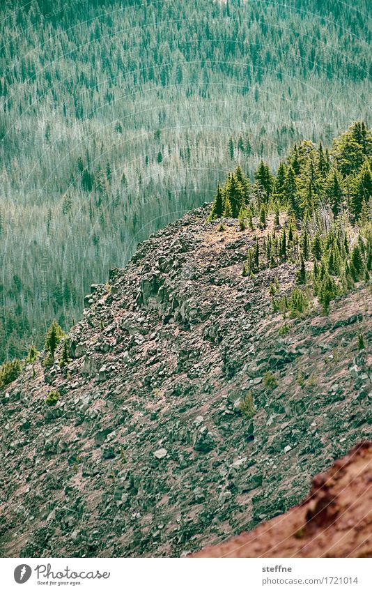 rocks and trees Baum Wald Berge u. Gebirge Ferien & Urlaub & Reisen wandern Bergsteigen Oregon USA Pinie Felsen Gemälde Farbfoto Außenaufnahme Menschenleer