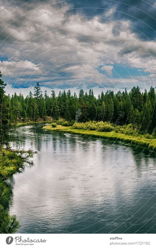 Wilderness Natur Landschaft Urelemente Wasser Himmel Wolken Sommer Baum Wald Flussufer wandern USA Oregon Pinie malerisch Idylle bob ross bedrohlich dunkel