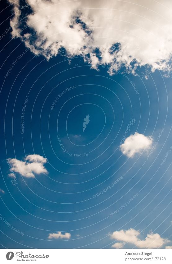 Der Himmel ist blau Farbfoto Außenaufnahme Textfreiraum Mitte Tag Sonnenlicht Umwelt Natur Luft nur Himmel Wolken Sommer Klima Klimawandel Wetter Schönes Wetter