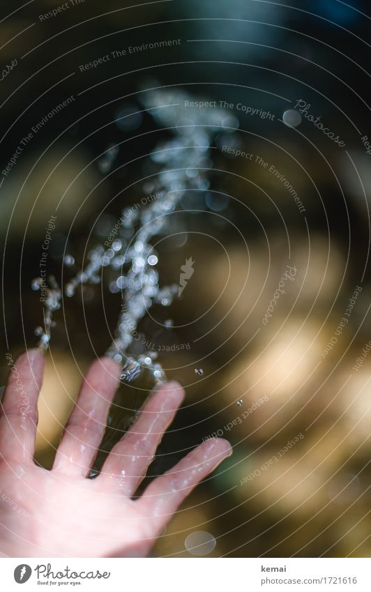 Wasser marsch! Freizeit & Hobby Spielen Ausflug Abenteuer Mensch Leben Hand Finger Handfläche 1 Umwelt Wassertropfen Sommer Schönes Wetter Bach werfen