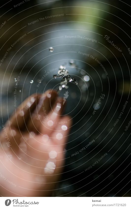 Wasserspiel Wellness Leben harmonisch Wohlgefühl Sinnesorgane Freizeit & Hobby Spielen Ausflug Abenteuer Hand Finger Natur Wassertropfen Sommer festhalten