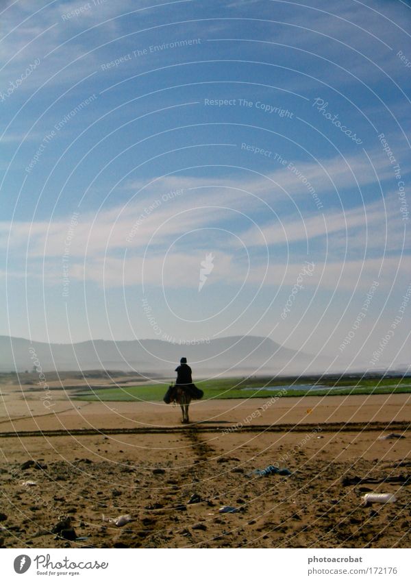 Einsamer Reiter Farbfoto Außenaufnahme Silhouette 1 Mensch Ferien & Urlaub & Reisen Zukunft Esel Pferd Reiten Strand Marokko Einsamkeit einsam alleine Weg Küste