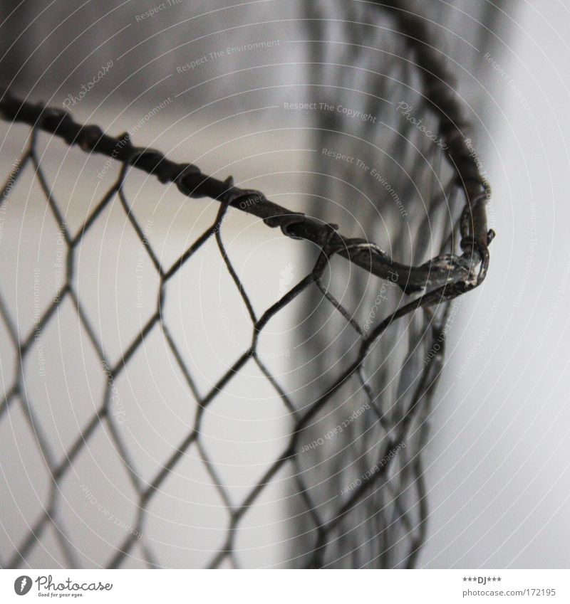 Maschendrathzaun Farbfoto Innenaufnahme Nahaufnahme Detailaufnahme Makroaufnahme abstrakt Strukturen & Formen Menschenleer Hintergrund neutral Tag Schatten