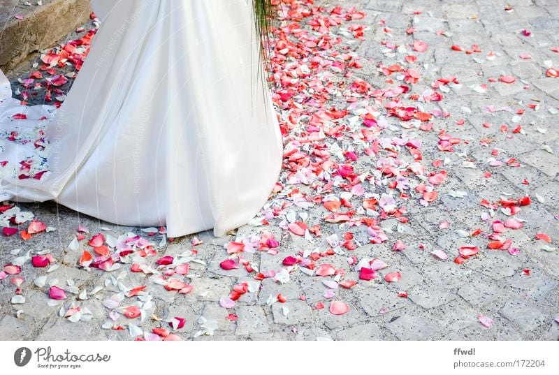 Oh happy day elegant Stil Glück Hochzeit Frau Erwachsene Partner Leben 1 Mensch Rose Blüte Blütenblatt Rosenblätter Pflastersteine Kleid Brautkleid Fröhlichkeit