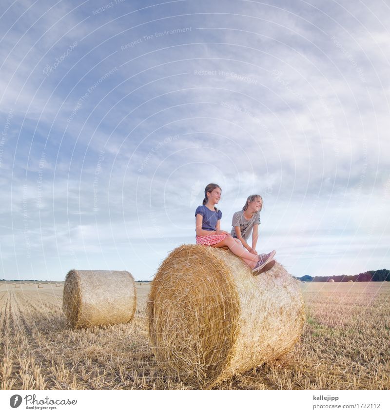 ferienbeginn Mensch Kind Mädchen Junge Geschwister Bruder Schwester Leben 2 Umwelt Natur Landschaft Sommer Feld sitzen Spielen Stroh Strohballen Rolle Zylinder