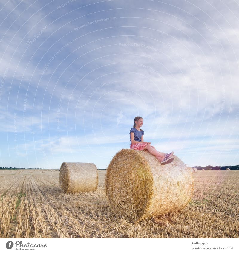 Mädchen auf Heuballen Kindheit Leben 1 Mensch Umwelt Natur Landschaft Schönes Wetter Feld sitzen Strohballen Erholung Zukunft Lächeln ruhig Sommer Ernte