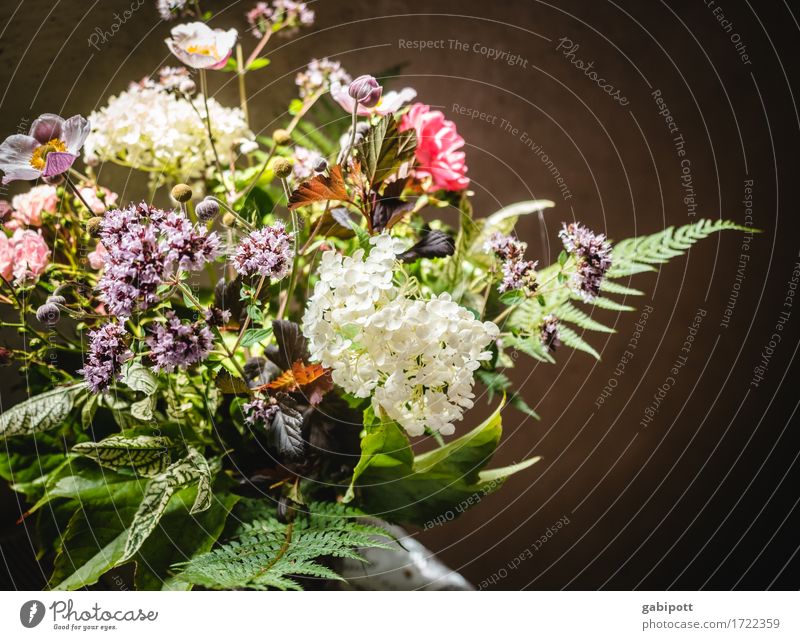 schwäbischer blumenstrauß Sommer Pflanze Blume Sträucher Farn Blüte Blumenstrauß Blühend Duft glänzend natürlich schön Lebensfreude Frühlingsgefühle Design