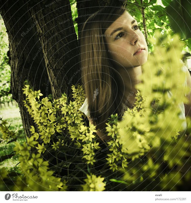 Hide Farbfoto Außenaufnahme Tag Schatten Sonnenlicht Starke Tiefenschärfe Porträt Wegsehen feminin Junge Frau Jugendliche Kopf Haare & Frisuren Gesicht 1 Mensch