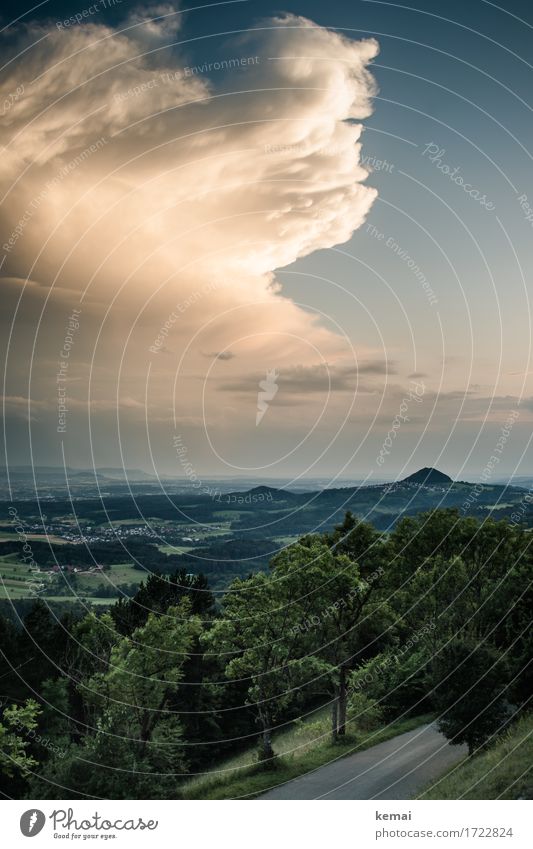 Cumulonimbus deluxe Abenteuer Ferne Freiheit Umwelt Natur Landschaft Pflanze Urelemente Luft Himmel Wolken Gewitterwolken Sommer Wetter Unwetter Baum Hügel