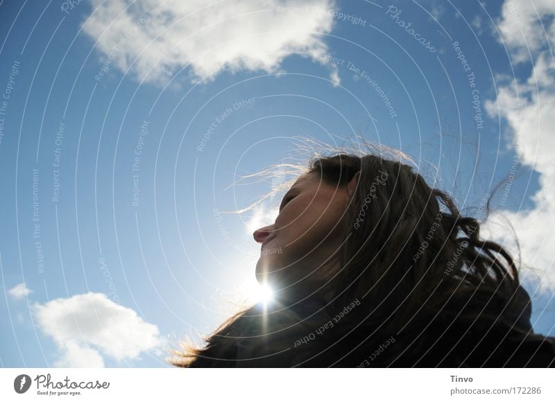 under the blue sky feminin Frau Erwachsene Kopf Haare & Frisuren Gesicht 1 Mensch Himmel Wolken Sonne Sonnenlicht Wind beobachten Blick träumen Glück