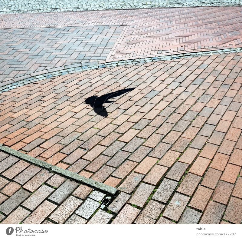 Ausflug Farbfoto Textfreiraum links Textfreiraum rechts Textfreiraum oben Textfreiraum unten Schatten Vogelperspektive Ferien & Urlaub & Reisen Handwerk