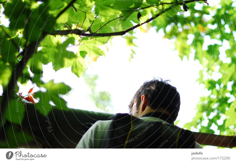 erleuchtung Farbfoto Außenaufnahme Textfreiraum links Textfreiraum oben Textfreiraum Mitte Tag Licht Schatten Kontrast Silhouette Lichterscheinung Sonnenlicht