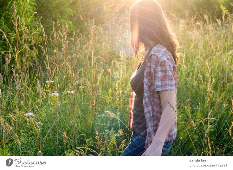 Summertime Farbfoto Außenaufnahme Textfreiraum links Dämmerung Licht Kontrast Silhouette Lichterscheinung Sonnenlicht Sonnenstrahlen Gegenlicht Oberkörper