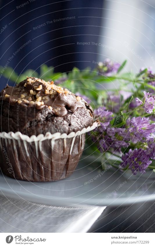 schokomuffin Lebensmittel Teigwaren Backwaren Kuchen Dessert Schokolade Ernährung Kaffeetrinken Diät Blühend Duft Feste & Feiern genießen frisch lecker süß