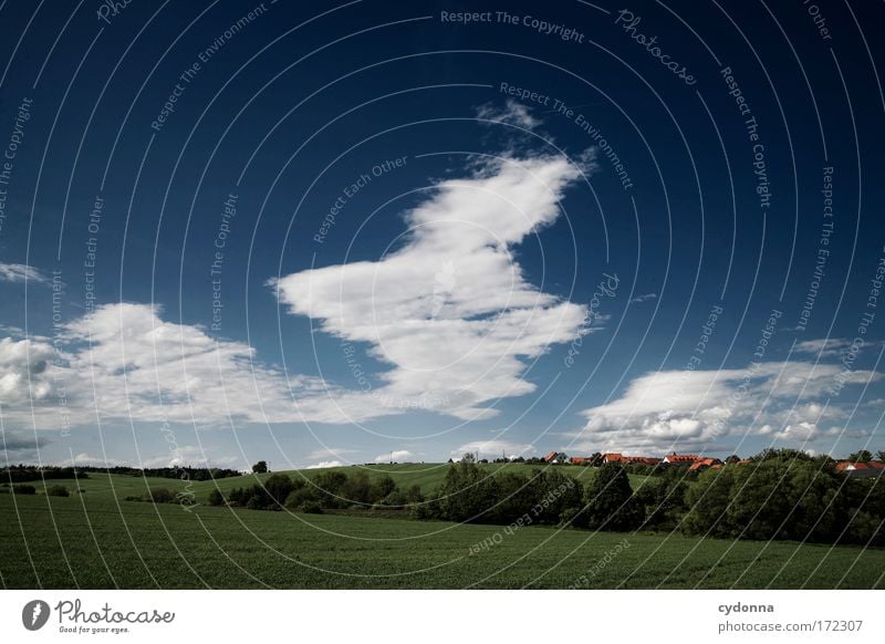 Wolkenbilder Farbfoto Außenaufnahme Detailaufnahme Menschenleer Textfreiraum links Textfreiraum rechts Textfreiraum oben Textfreiraum Mitte Tag Schatten