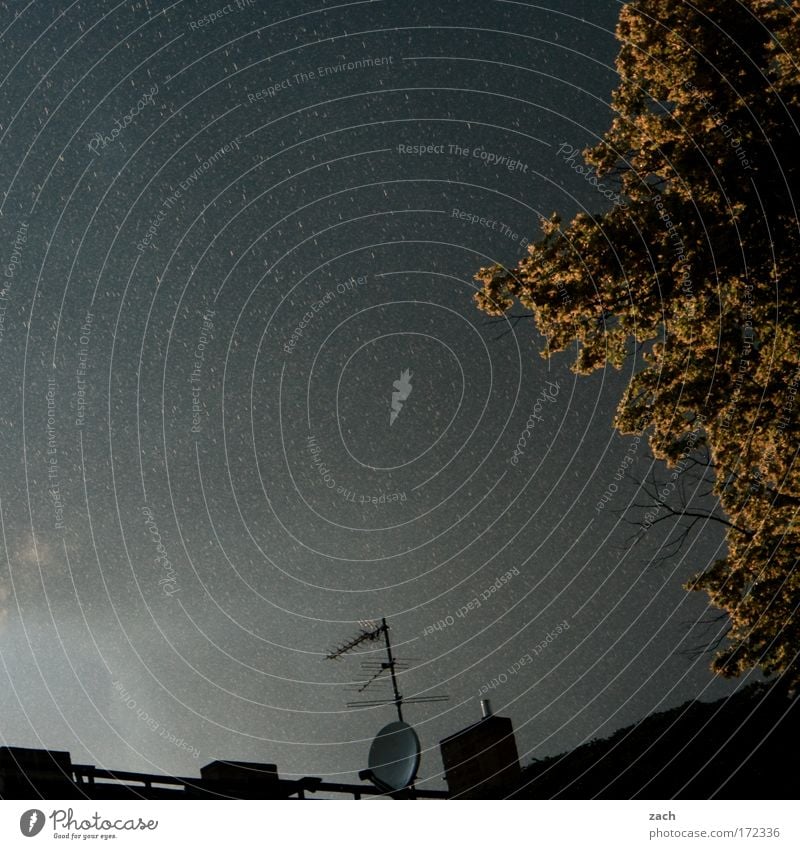 Sommerregen Farbfoto Außenaufnahme Menschenleer Textfreiraum links Textfreiraum oben Abend Dämmerung Lichterscheinung Froschperspektive Haus Fernsehen Natur