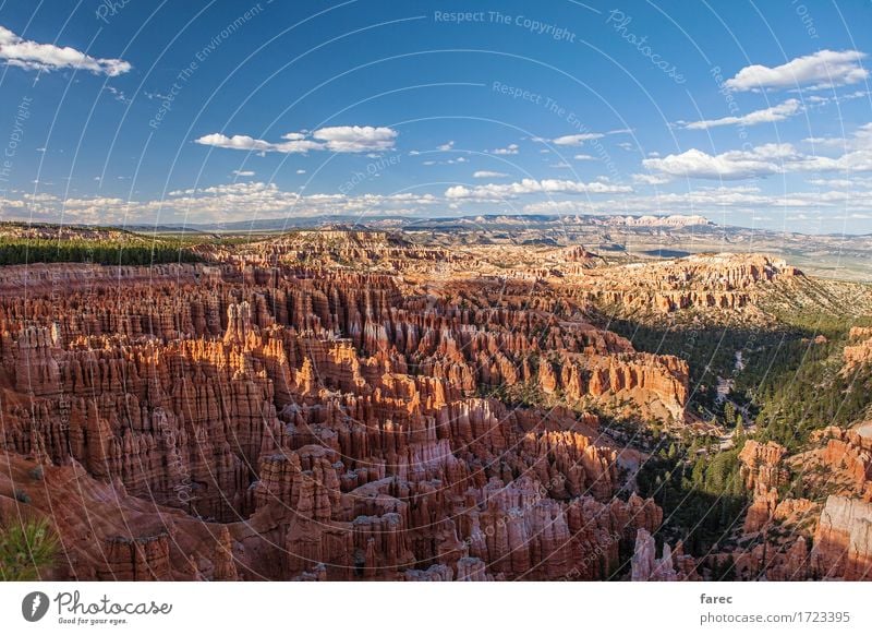 Bryce Canyon National Park Natur Landschaft Pflanze Erde Sand Luft Sommer Schönes Wetter Baum Wüste Bryce Amphitheater Sehenswürdigkeit Stein beobachten